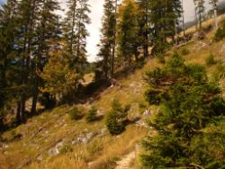 2013-10-08_Guffert (022).JPG